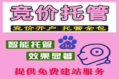 SEM代理操作技巧：成功案例揭秘